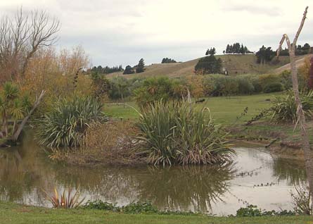 VineSmart - New Zealand Vineyard, Winery, Home, and Olive Grove For Sale - Marlborough, South Island, New Zealand  - Wine Real Estate